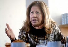 Graciela Camaño: “La responsabilidad más grande del fracaso del gobierno la tiene el gobierno”