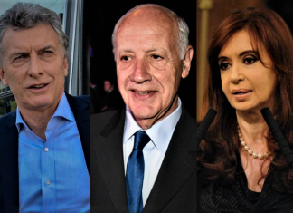 “En números, para el Gobierno, es mejor candidata a Presidente Vidal que Macri”