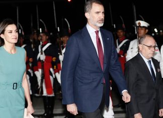 El Canciller Faurie afirmó que el escándalo de la escalera fue culpa de la empresa Intercargo