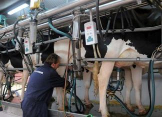 “No es cierto que estemos con menos producción y menos exportación”