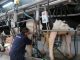 “No es cierto que estemos con menos producción y menos exportación”