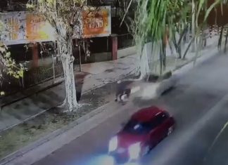 “Voy a pedir la prisión preventiva al conductor del auto”