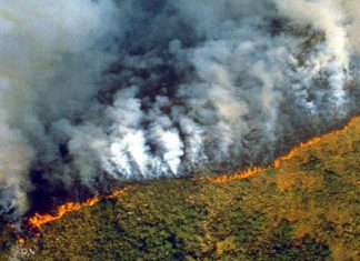 Gustavo Segré: “Hay 75 mil focos de incendio en este momento”