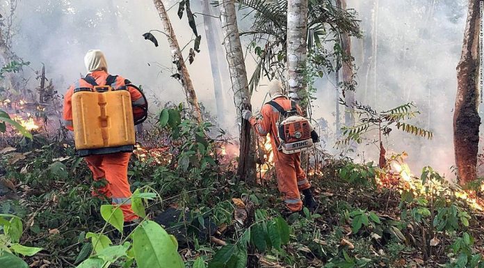 Bomberos argentinos ayudarán a sofocar el fuego del Amazonas