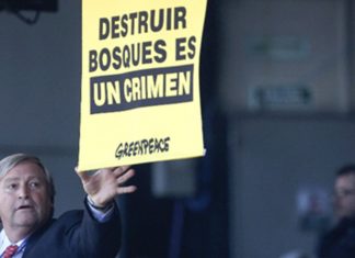 Hernán Giardini sobre la denuncia que recibió Greenpeace a raíz de la protesta en La Rural:”Nos parece ridícula”