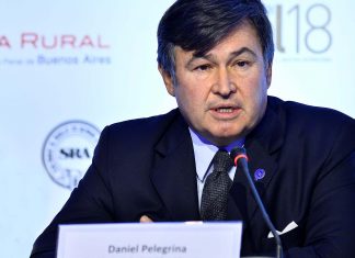 Daniel Pelegrina: “Es nefasto y discriminatorio este impuesto”