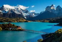 Invasión de ratas en la Patagonia: “Es una exageración”