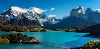 Invasión de ratas en la Patagonia: “Es una exageración”