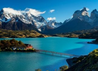 Invasión de ratas en la Patagonia: “Es una exageración”