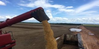 El testimonio de un productor agropecuario: “Uno no especula sino que guarda su producción para venderla en su mejor precio”