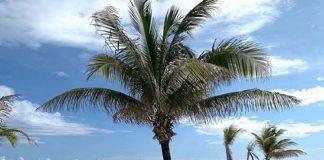Argentinos varados en el mundo: Paola y Juan Cruz esperan ser repatriados de Cancún