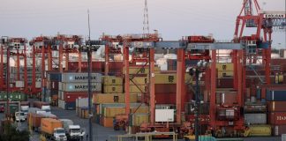 Julio Delfino: “Los barcos tienen que entrar a la Argentina en situación asintomática”