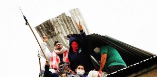 Julia Márquez: “No sé a qué se refiere el Juez Violini con delito leve, si todo delito es grave”