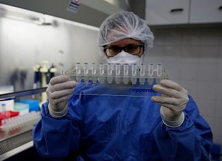 Gabriel Capitelli: “Vamos a probar en gatos y en murciélagos una vacuna que está en investigación”