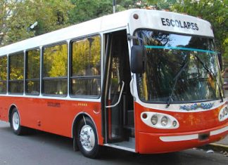 Transporte escolar: “Estamos desesperados porque no tenemos manera de generar ingresos”