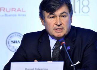 Pelegrina, tras la reunión con Alberto Fernández: “Me da la impresión de que Argentina puede evitar el default”