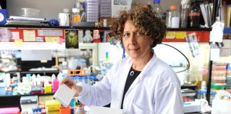 Nuevo test local: “Permite saber si hay anticuerpos en el organismo y cuántos hay”