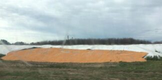 Sigue la ola de ataques al campo: rompieron 20 silobolsas en Vedia