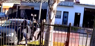 Almirante Brown: le robaron el auto con su hijo de seis años adentro