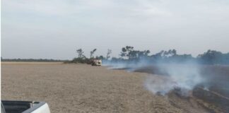 Siguen los delitos en el campo: “Atacar al sector rural y productivo es escupir para arriba”