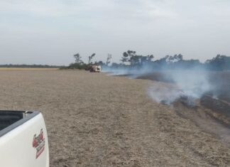 Siguen los delitos en el campo: “Atacar al sector rural y productivo es escupir para arriba”