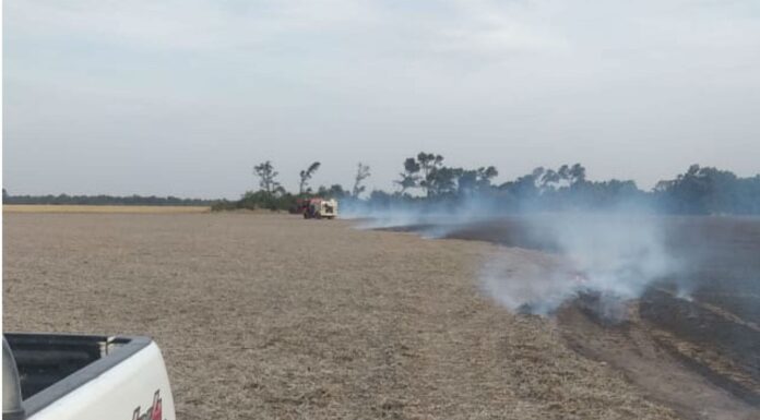 Siguen los delitos en el campo: “Atacar al sector rural y productivo es escupir para arriba”