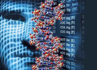 Coronavirus: comprueban que las variantes del virus que circulan en Argentina son las más contagiosas
