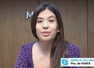 Monotributistas: “El sector está muy mal porque un porcentaje ínfimo accedió al IFE y al crédito tasa cero”