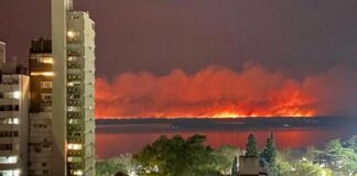 Pablo Javkin: “Sin lugar a dudas, los incendios en el Delta son intencionales”