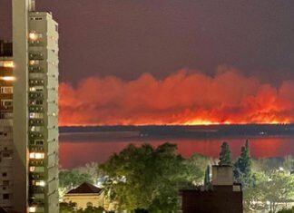Pablo Javkin: “Sin lugar a dudas, los incendios en el Delta son intencionales”