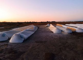 Ataques al campo: denuncian que ya fueron dañadas 5.700 toneladas de granos por la rotura de silobolsas