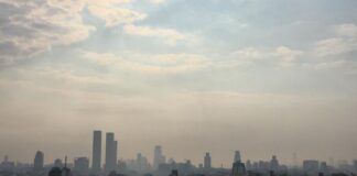 El humo y el olor a quemado de los incendios del Delta llegó a Buenos Aires