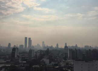 El humo y el olor a quemado de los incendios del Delta llegó a Buenos Aires