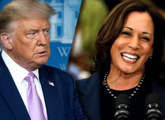Elecciones presidenciales en Estados Unidos: la fórmula Biden-Harris que incomoda a Trump