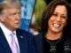 Elecciones presidenciales en Estados Unidos: la fórmula Biden-Harris que incomoda a Trump