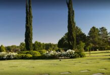 Nicolás Pizzi: “Las excusas para no abrir los cementerios son insólitas”