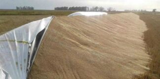 Ataques al campo: “Esto va mucho más allá de un hecho policial”