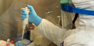 Coronavirus: Chile se acerca a los 2 millones de testeos realizados