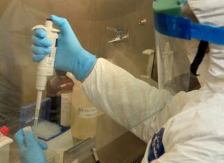 Coronavirus: Chile se acerca a los 2 millones de testeos realizados