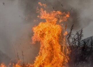 “El diablo de fuego”: la foto que se viralizó de los incendios en Córdoba