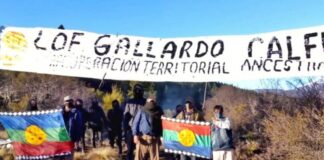 Continúa la toma en el Sur: “Mis tierras están ocupadas por 50 encapuchados desde el jueves”