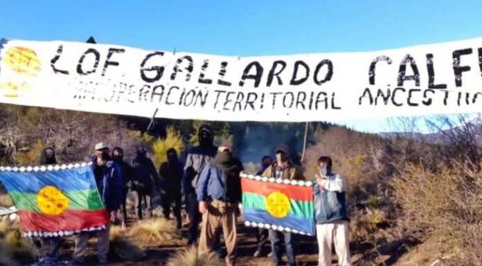 Continúa la toma en el Sur: “Mis tierras están ocupadas por 50 encapuchados desde el jueves”