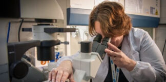 Coronavirus: el INTA y el CONICET desarrollaron nanoanticuerpos que lo neutralizan