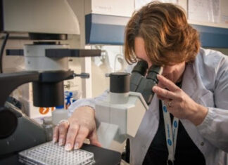 Coronavirus: el INTA y el CONICET desarrollaron nanoanticuerpos que lo neutralizan