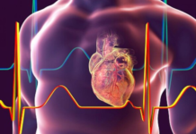 Alertan sobre los riesgos cardiovasculares por la caída de las consultas médicas