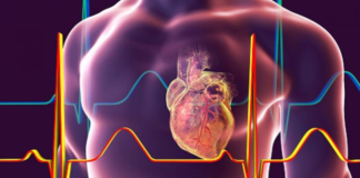 Alertan sobre los riesgos cardiovasculares por la caída de las consultas médicas