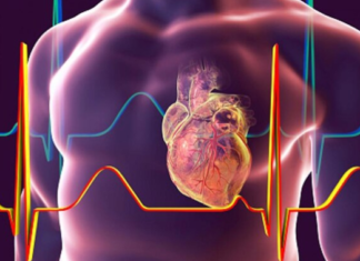 Alertan sobre los riesgos cardiovasculares por la caída de las consultas médicas