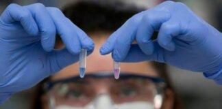 Coronavirus: qué fue de los test locales para detectar rápidamente la presencia del virus