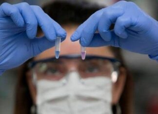 Coronavirus: qué fue de los test locales para detectar rápidamente la presencia del virus