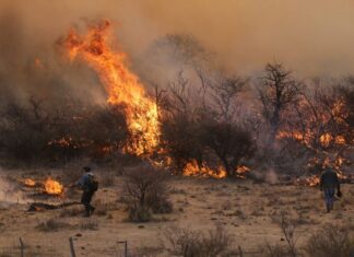 Córdoba declaró ‘alerta amarilla’ por los incendios: “El escenario es dramático”